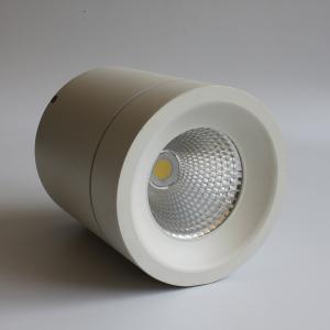 LED Down Light