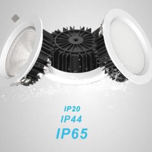 LED Down Light-IP65 