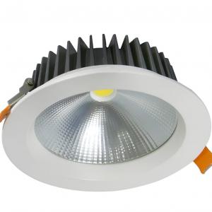 LED Down Light