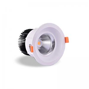 LED Down Light